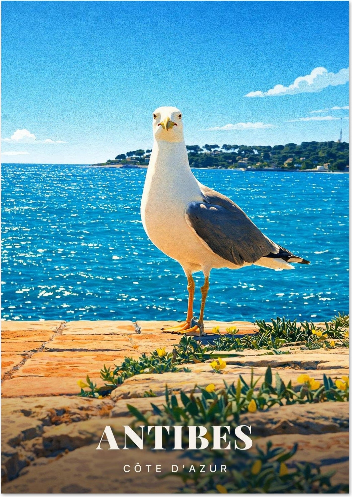 Antibes — Goéland sur le Quai face à la Mer Scintillante de la Côte d'Azur
